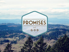 Promise of GOD